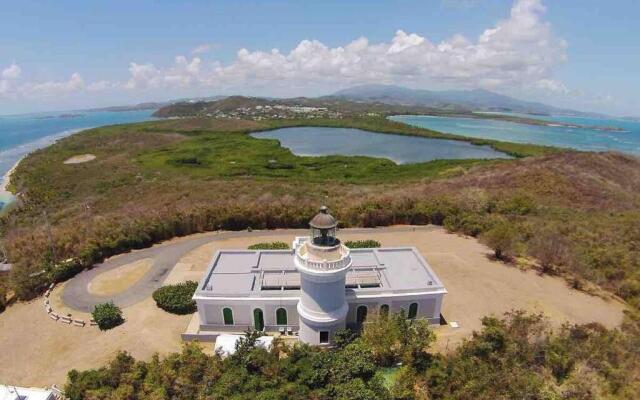 Palomino Island View