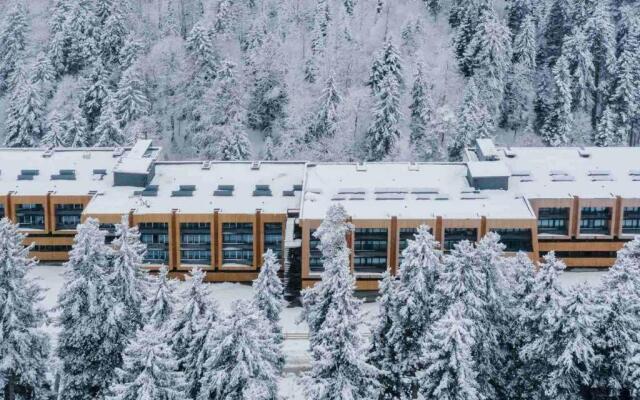 Bakuriani, Kokhta Mitarbi Resort B1