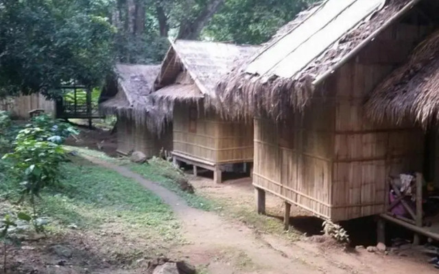 Dreamcaught tree houses