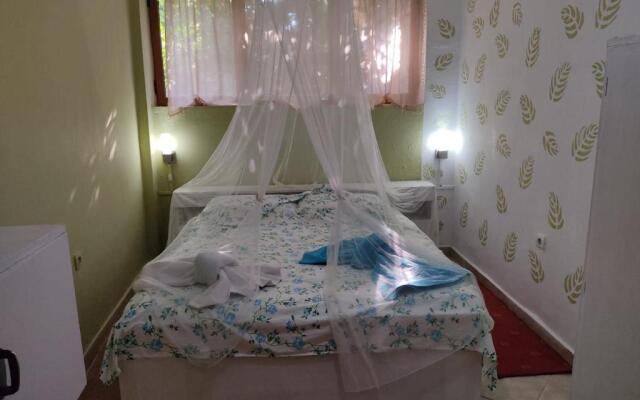 Private Apartment Elbasan Historic Center