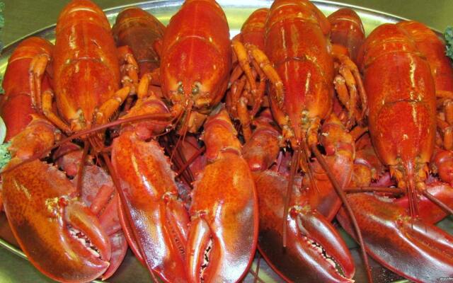 Best Western Hunt's Landing Hotel Matamoras/Milford