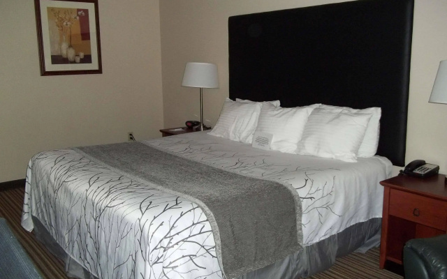 Best Western Park Oasis Inn
