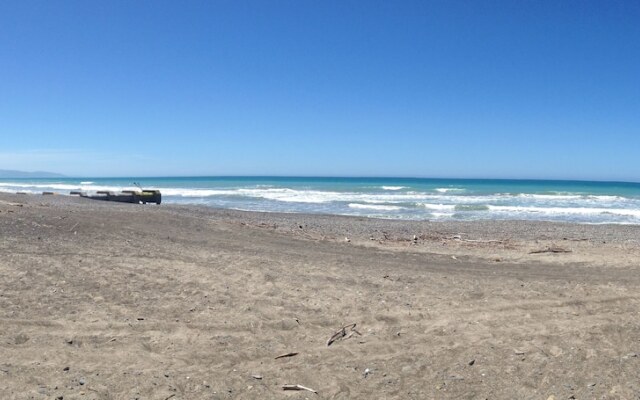 Leithfield Beach Holiday Park
