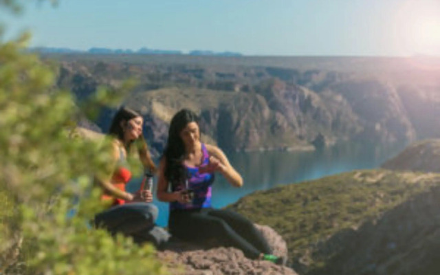 Nelumbo Petit Chalet