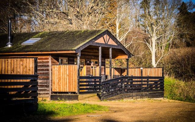 New Forest Lodges