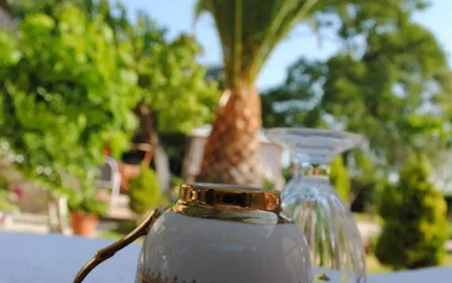 Villa Olga Apartments & Studios