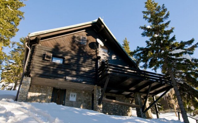 Chalet Snowflake Ia 20m From Ski Trail