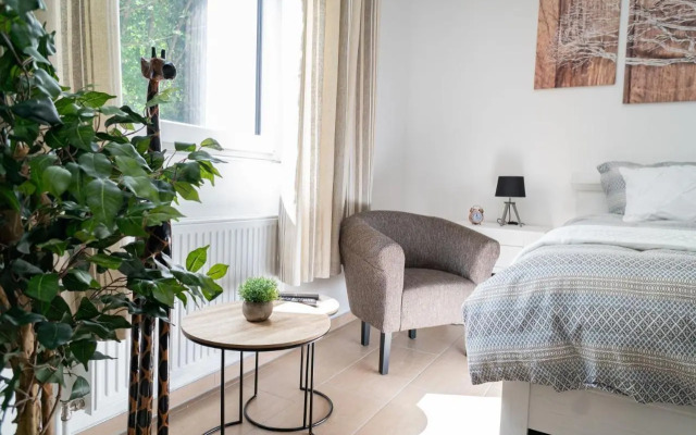 Beautiful Apartment in town centre (TLA/TDY/TLF)