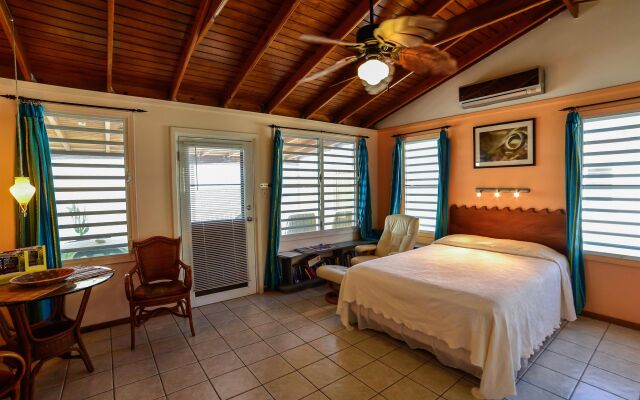 Lemontree Oceanfront Cottages