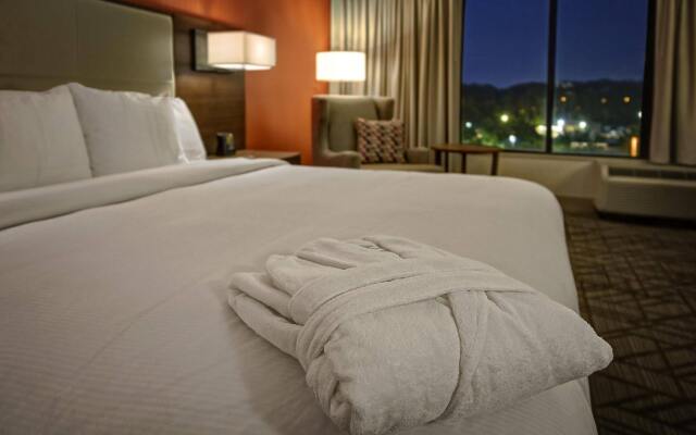 Hilton Knoxville Airport