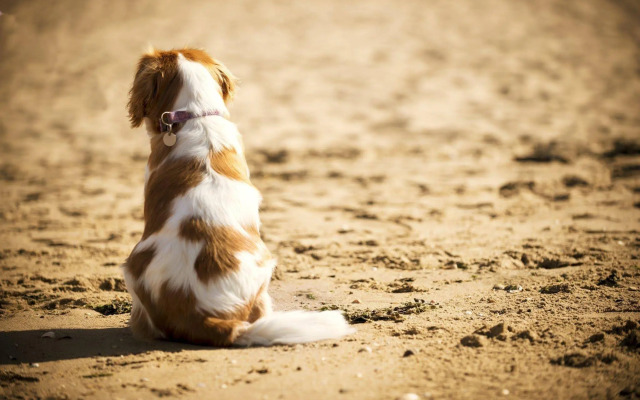 Best Western Aberavon Beach Hotel