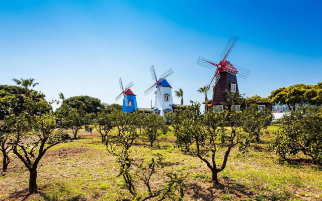 Jeju Olleh Windmill Pension and Guesthouse