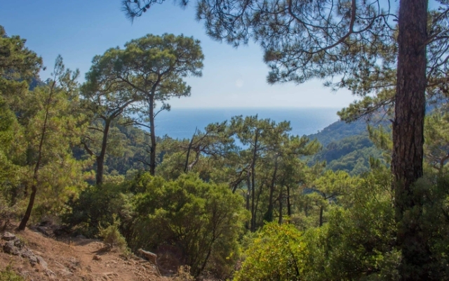 Helios Gunes Camping