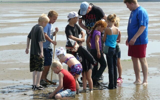 Comfy Villa With Garden, Near the Wadden Sea