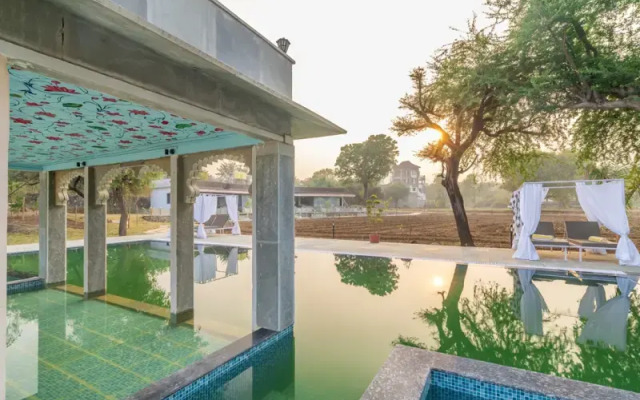 Indulge Udaipur By Pack