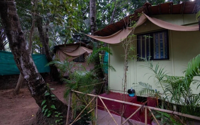 Saturn Beach Cottage