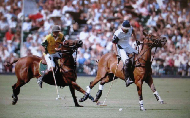 Hampton Inn & Suites Wellington