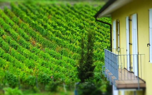 Weingut und Hotel Haus am Drachenloch