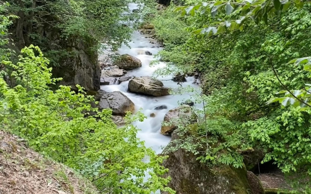 Senoz Mountain House - Bungalow