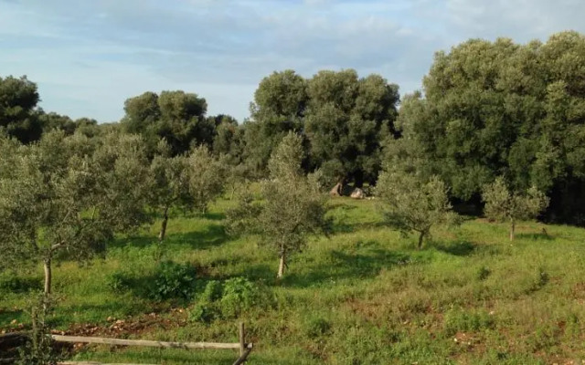 Appartamento in Ostuni