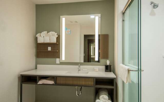 Hilton Garden Inn Jackson/Clinton