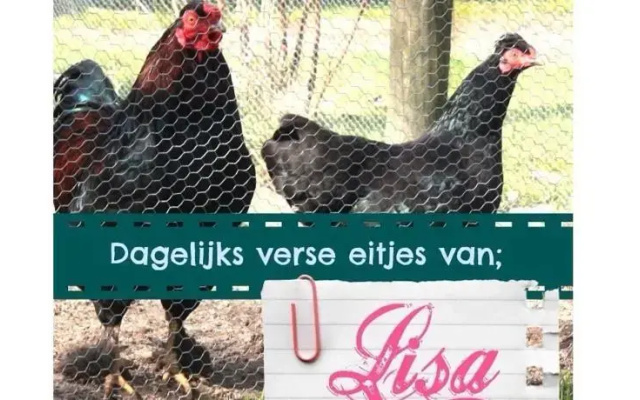 Bed and Breakfast Radijsje