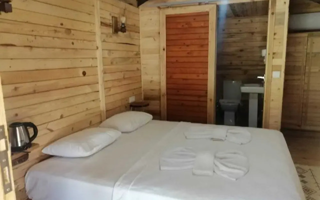 Green Pine Beach & Bungalows Luxury Concept