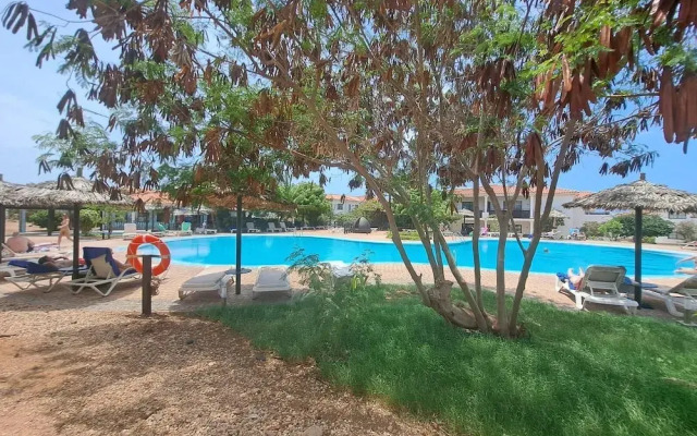 Tortuga Beach Apartment Oasis