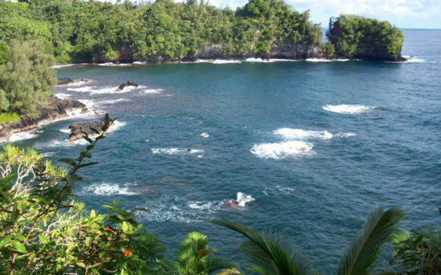 Kuhio Village 410A - 1 Br Condo