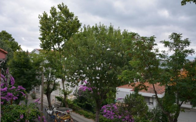 Büyükada Anastasia Meziki History Mansion