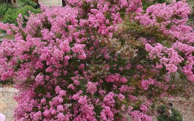 Bed & Breakfast les rosiers Fleuris