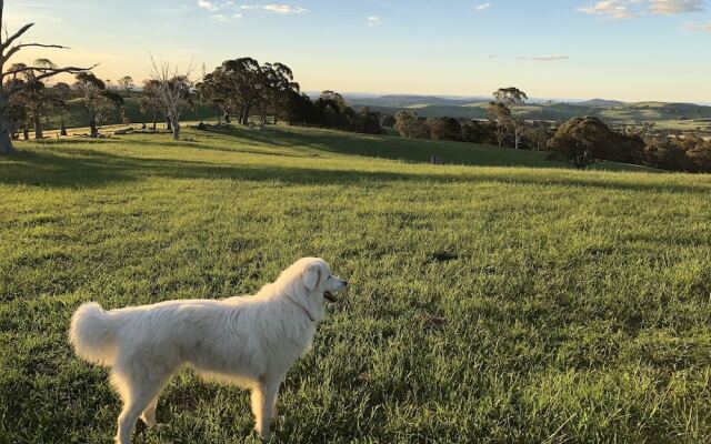 High Country Trail Rides & Farm Stay