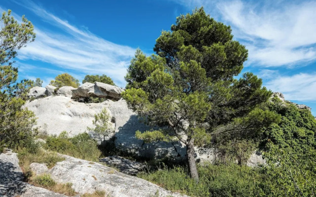 Mas Vidau Porte des Alpilles