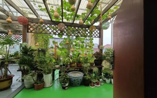 Laocheng Yard Homestay