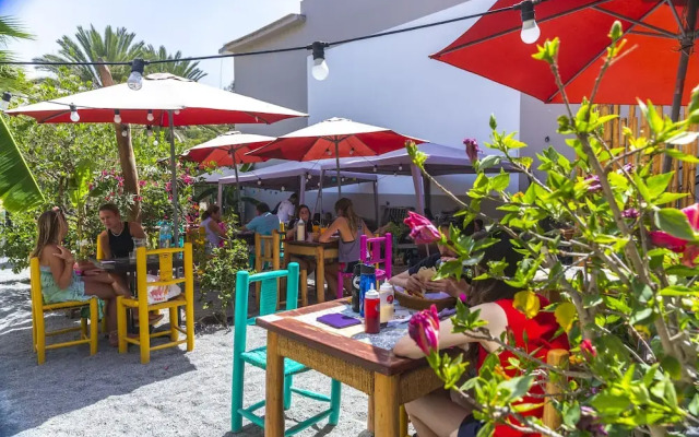 Bananas Adventure Hostel