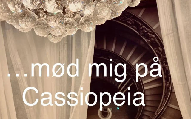 Skuespiller Centralen