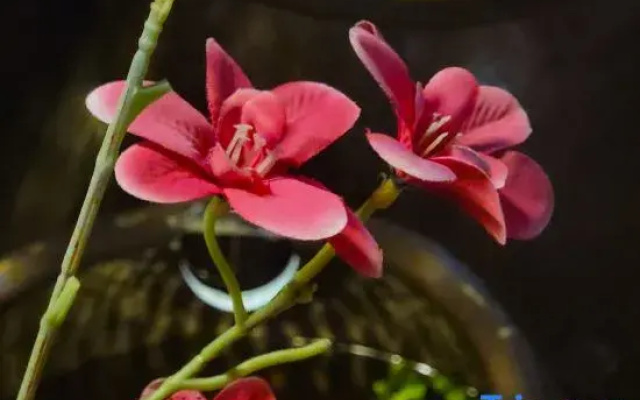 Quanzhou Yujian Qiaonan Homestay