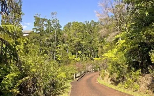 Treetop Oasis - Tairua Executive Holiday Home