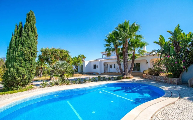 Yoba Horse Farm in Carvoeiro