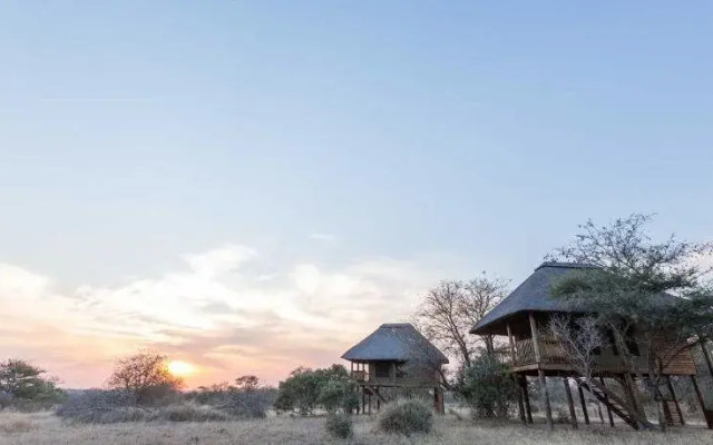 nThambo Tree Camp