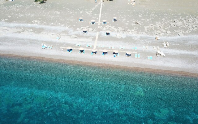 Eco Beach and Magic Garden