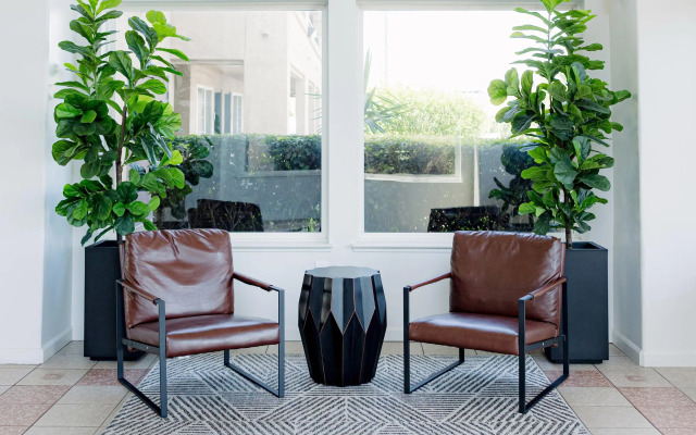 Quality Inn & Suites Lathrop - South Stockton