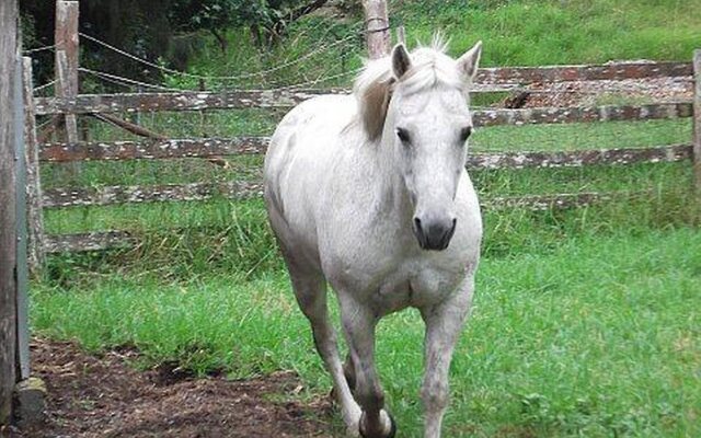 Honeycomb Valley Farm
