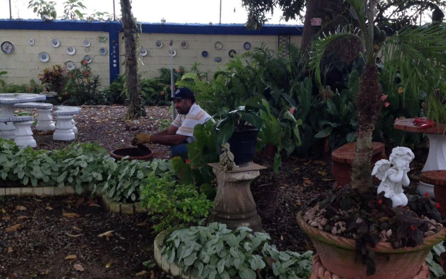 Sana El Jardin Secreto