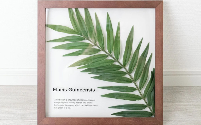 Oyo 44789 Dream Inn Hakata