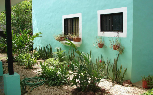 Green Forest of Coco Beach Studios