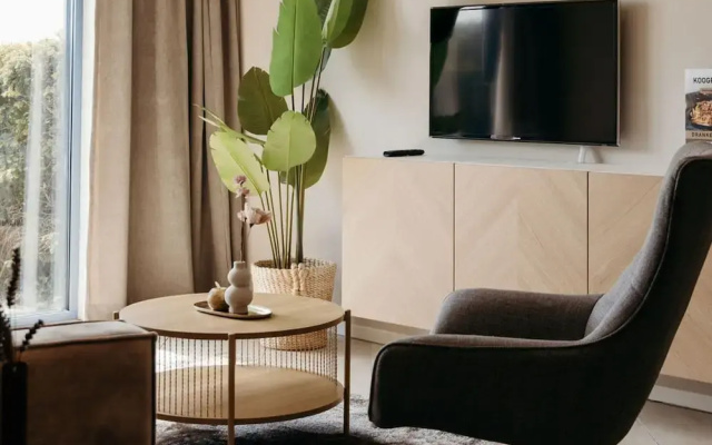 Apartment in Netherlands Near the Coast