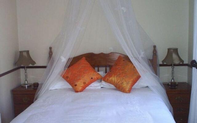 Avon Road Guest House & Tours