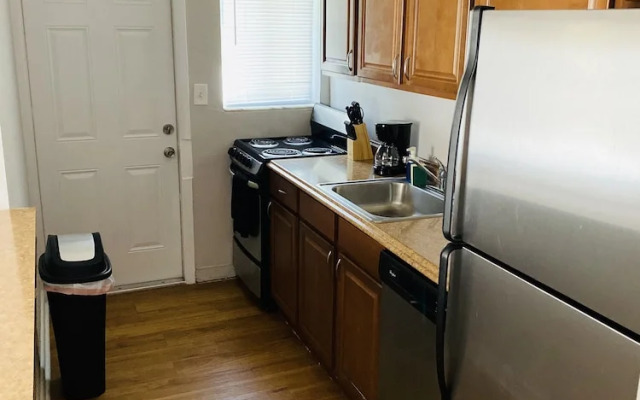 The Vic by Plenamar!