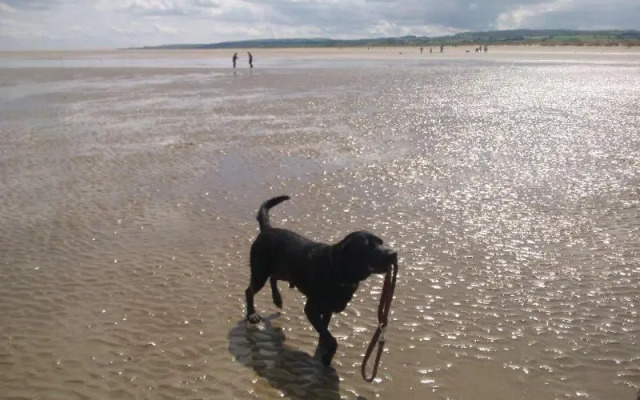 Broncoed Uchaf Country Guest House